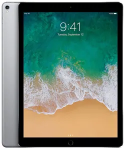 Замена экрана на iPad Pro 12.9' (2015) в Красноярске